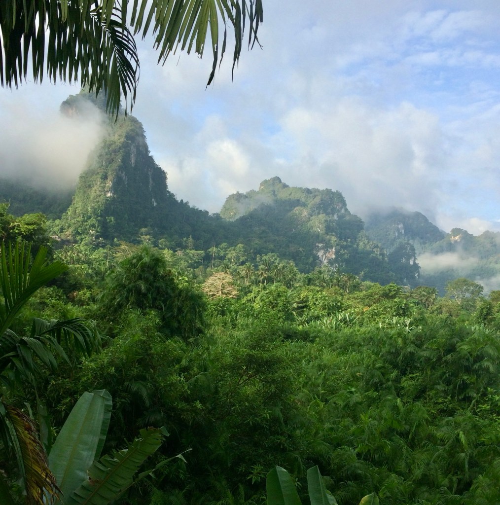 Thailand rainforest