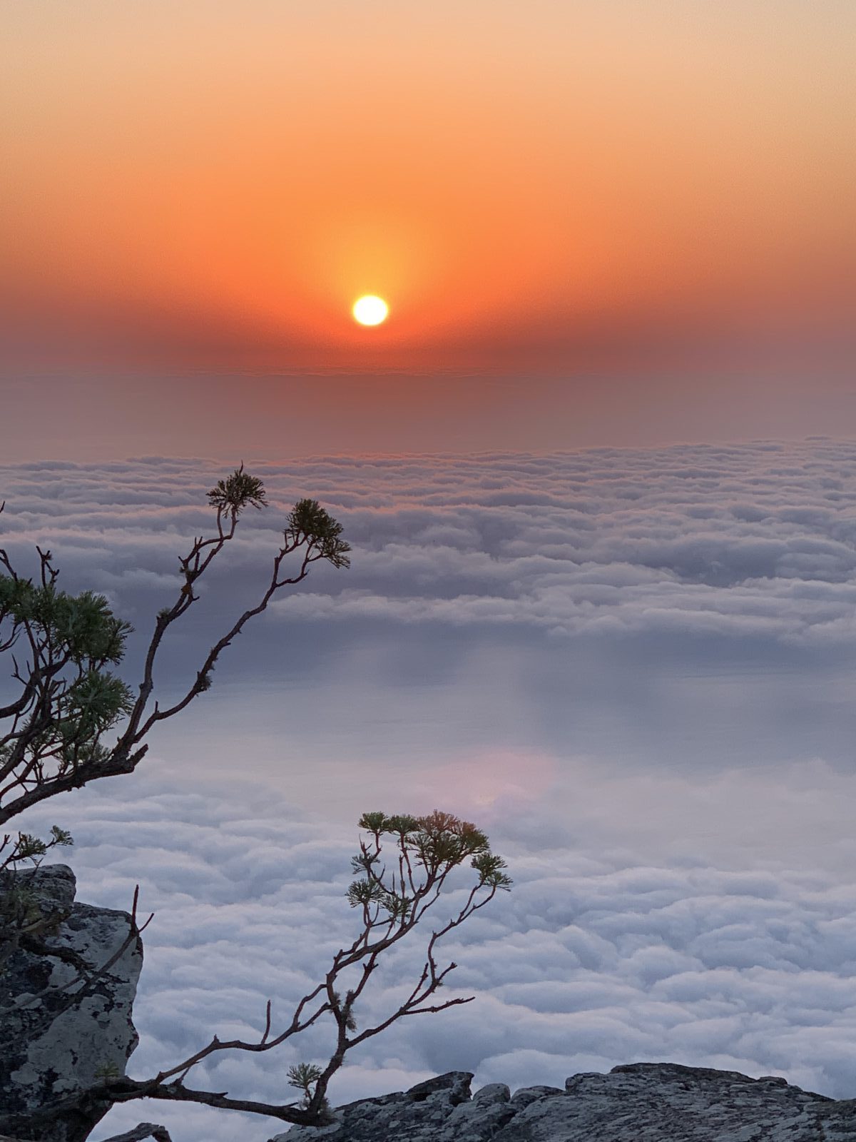 AFRICA SUNSET TABLE MOUNTAIN CAPETOWN